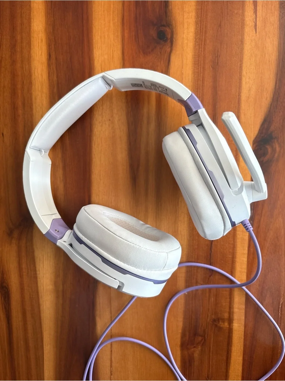 Turtle Beach brand turtle